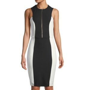 Alexia Admor Colorblock Dress